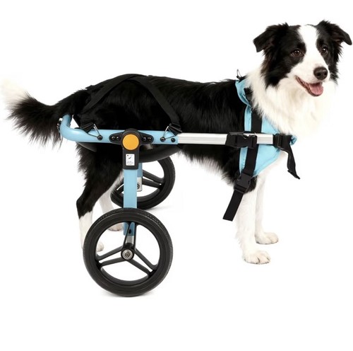 Med large dog wheelchair - dog,