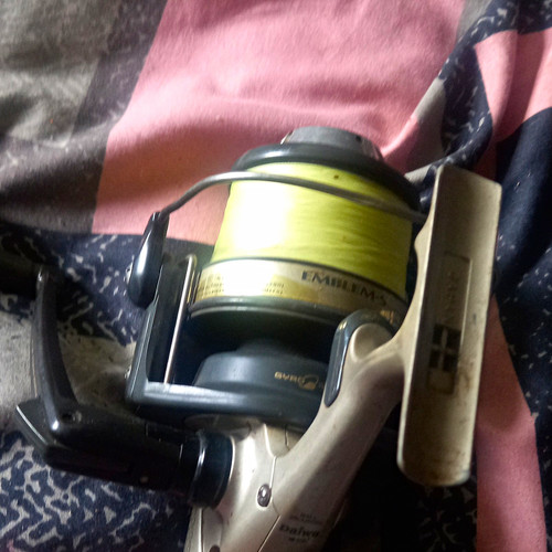 Daiwa emblem 5000t - daiwa, 5000