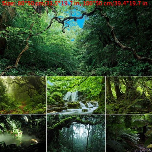 Forest fish tank - forest, background