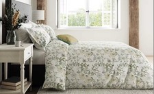 Sanderson Wild Angelica