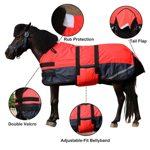 Leberna foal winter - leberna, rug