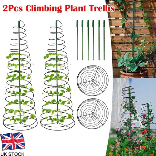 Garden climbing tomato - 2x,