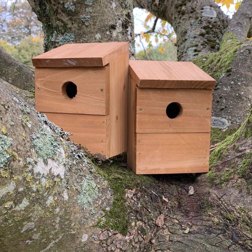 Wooden multi hole - wooden, bird