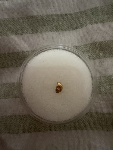 Gold nugget 24g - nugget, 0.24g