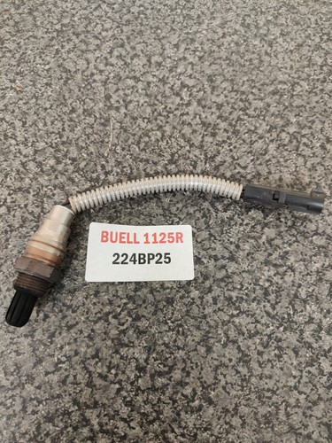 Buell 1125r exhaust - buell, lambda