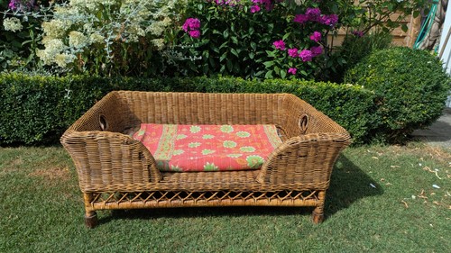 Oka rattan mattaban wicker - rattan, dog