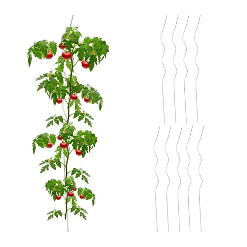 Tomato stakes vegetable - stakes,