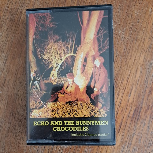 Echo and thr bunnymen - and,
