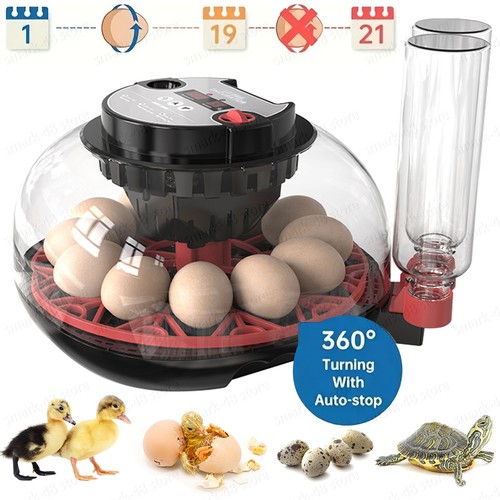 Digital egg incubator - egg,