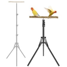 Parrot Perch Bird Stand Wood