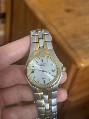 Citizen eco drive wr100 quartz - citizen,