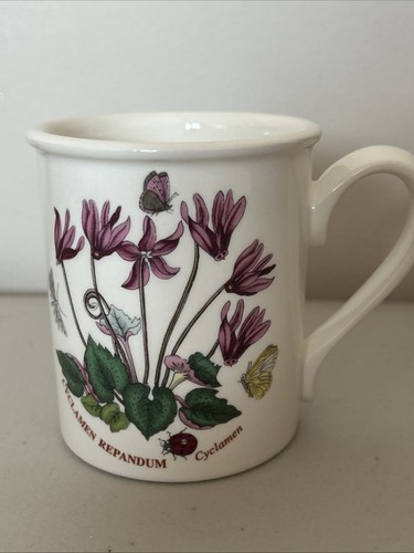 Portmeirion botanic garden - garden, mug