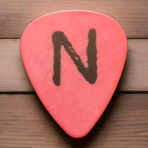 The national guitar pick - the,