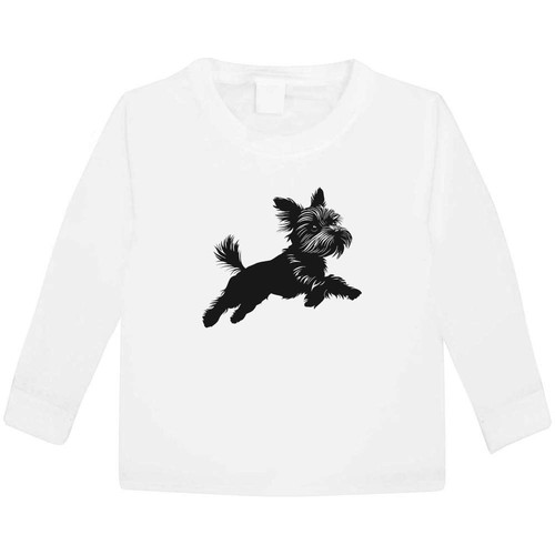 Yorkshire terrier jumping - jumping, '