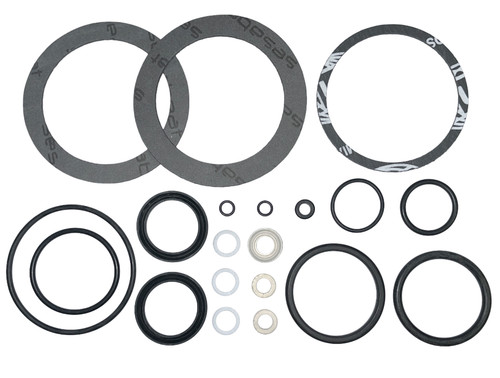 Pavoni professional gasket - pavoni,
