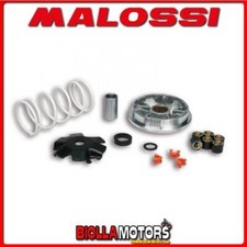 5113603 VARIATOR MALOSSI