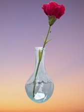 NEW IKEA VILJESTARK Beautiful