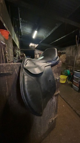 Equestrian horse riding - equestrian, saddle