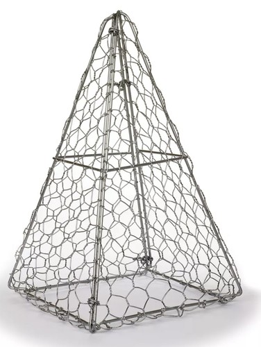 Topiary pyramid frame - topiary,
