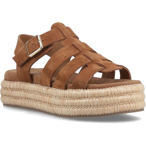 Hush puppies rosetta - puppies,