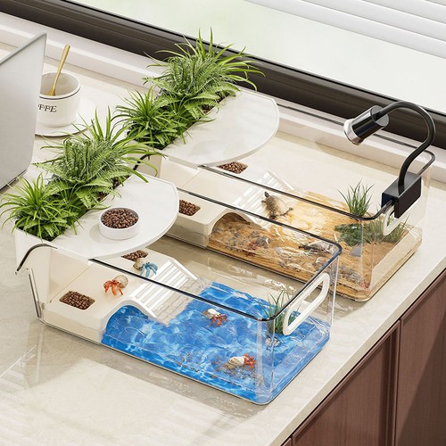 Turtle tank terrarium - turtle,