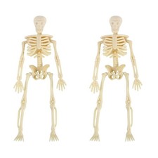 12 pcs  Fake Skeleton Prop