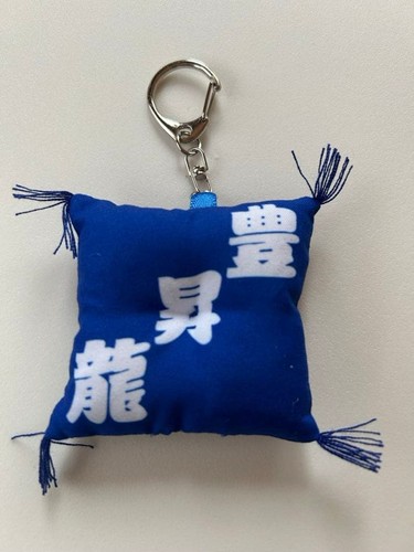 Hoshoryu blue mini zabuton - mini,