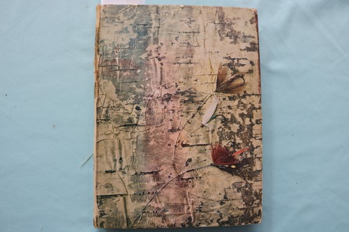 1902 the speckled trout - 1902,