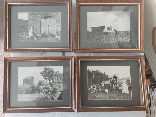 Frank meadow sutcliffe framed - meadow,
