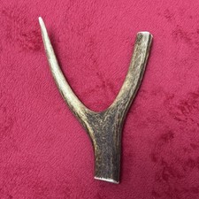 ONE PIECE OF DEER ANTLER, Y