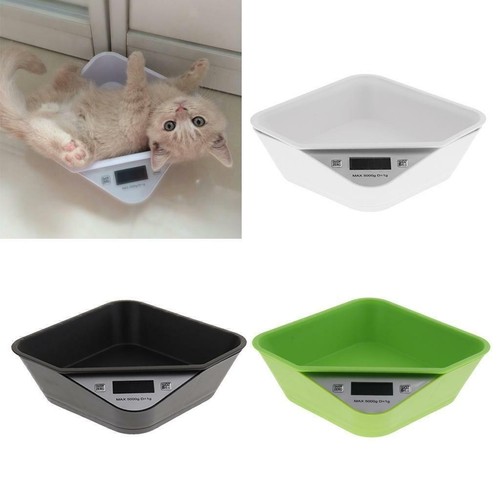 Pet scale puppy cat - scale,