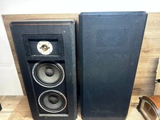 Pair of Teledyne Acoustic