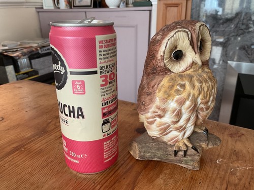 Wedgwood mottled art - art, owl