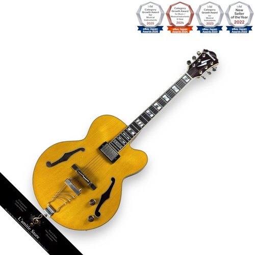 Ibanez pm2 electric guitar - pm2,