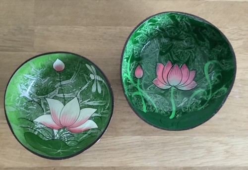 Coconut lacquered bowls hand - bowls,