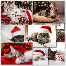 Doodlecards Pack of 10 Christmas Cards Cat Cats Kittens