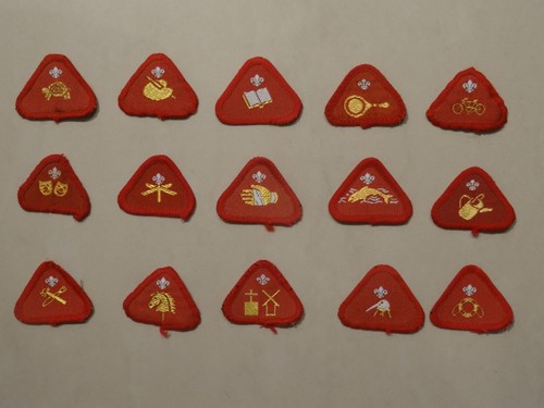 Cub scout proficiency - cub, proficiency/activity