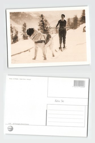 Postcard woman skiing with - postcard,