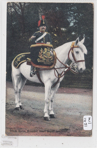 Military regiments the - ,