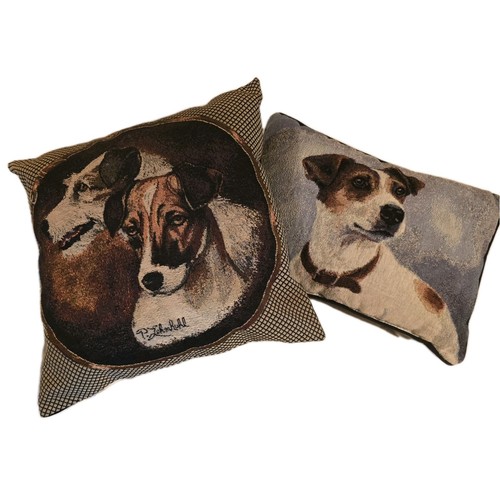 Jack russell terrier dog - terrier,