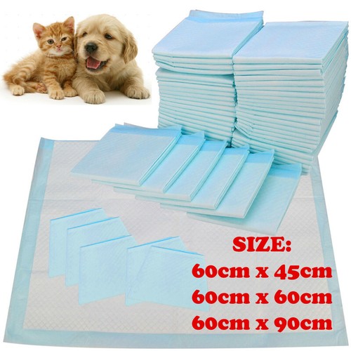 Extra large puppy training - large,
