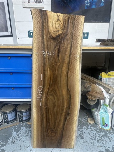 Italian walnut solid - solid, wood