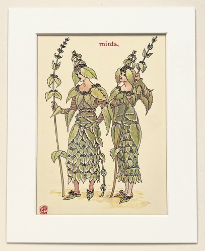 Mint herb walter crane - herb,