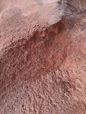 ? Red Cedar Sawdust | Aromatic, All-Natural | Forest Scent & Insect Repellent