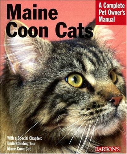 Maine coon cats complete pet - maine,