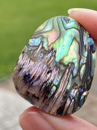 Abalone shell cabochon aaa - abalone,