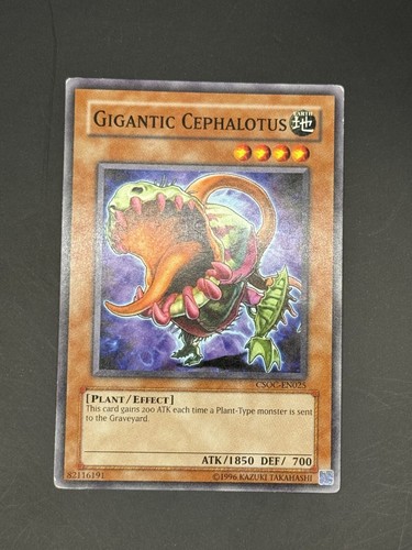Gigantic cephalotus - gigantic,