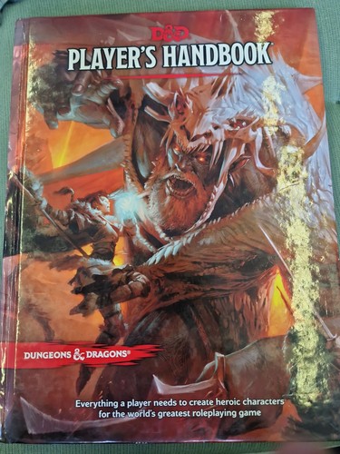 Dungeons dragons players - dungeons,