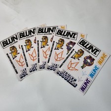 Blunt Envy Stunt Scooter X5 Sticker Sheets