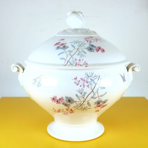 Elegant ginori porcelain - elegant, soup